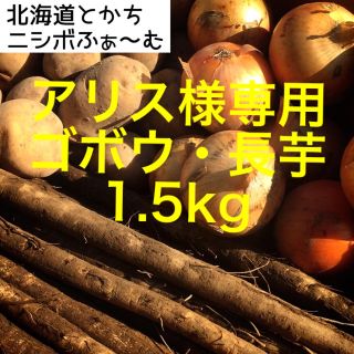 北海道とかちニシボふぁ〜む ゴボウ 『薫る大地』、長芋 各1.5kg(野菜)