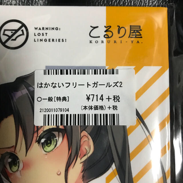 はかないフリートガールズ2 【間違えて買ってしまった…】 エンタメ/ホビーの同人誌(一般)の商品写真