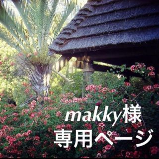 ベイビーシュープ(baby shoop)のmakky様 専用(ロングスカート)