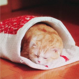 フェリシモ(FELISSIMO)の猫部！猫ちゃん用布団(猫)