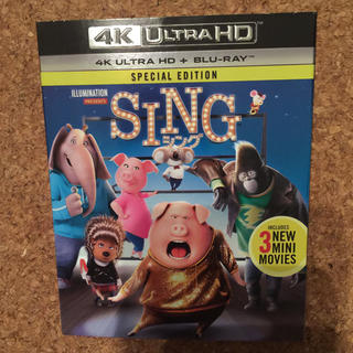 SING シング 4K&Blu-ray DVD(キッズ/ファミリー)