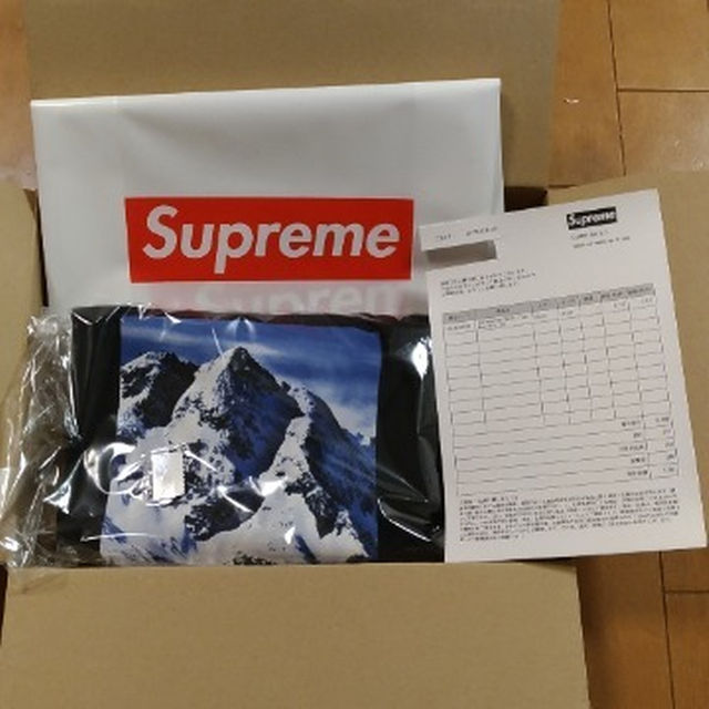 送料込み！L Supreme TNF Mountain Tee