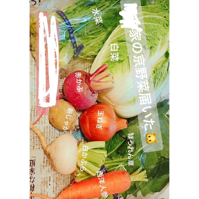 京野菜 詰め合わせ セット 無農薬 LLサイズ タケノコ4個追加 食品/飲料/酒の食品(野菜)の商品写真