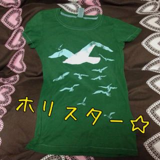 ホリスター(Hollister)のホリスター♡新品Tシャツ(Tシャツ(半袖/袖なし))