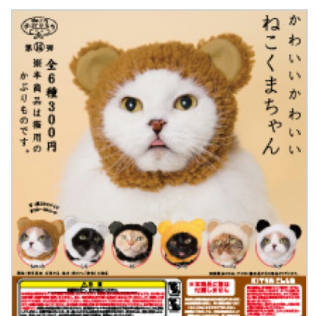 ガチャガチャ  ねこくまちゃん その他のペット用品(猫)の商品写真