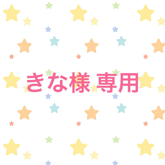 大切な きな様 専用 その他 大切な きな様 専用 その他