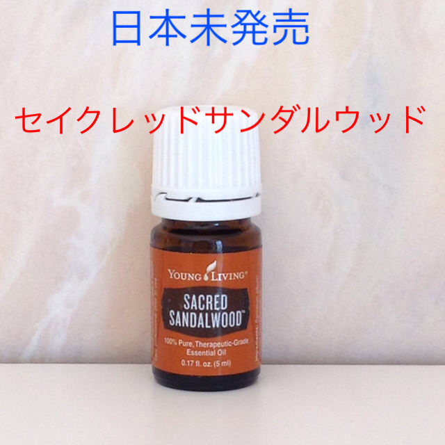 クリアランス買蔵 10月8日出品停止☆日本未発売☆セイクレッドサンダル