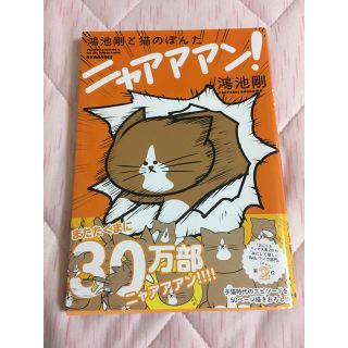 カドカワショテン(角川書店)のマンガ 鴻池剛と猫のぽんた♡(その他)