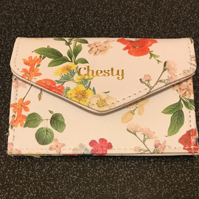 Chesty(チェスティ)のチェスティ Chesty マルチミニ財布 美人百花 付録 レディースのファッション小物(コインケース)の商品写真