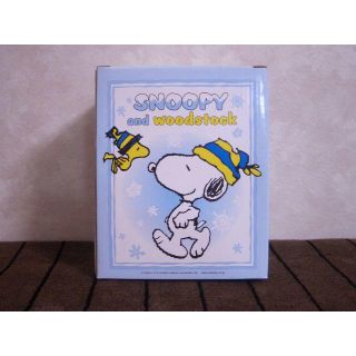 スヌーピー(SNOOPY)の☆スヌーピー マグ＆プレート（ケンタッキー）☆ラスト(その他)