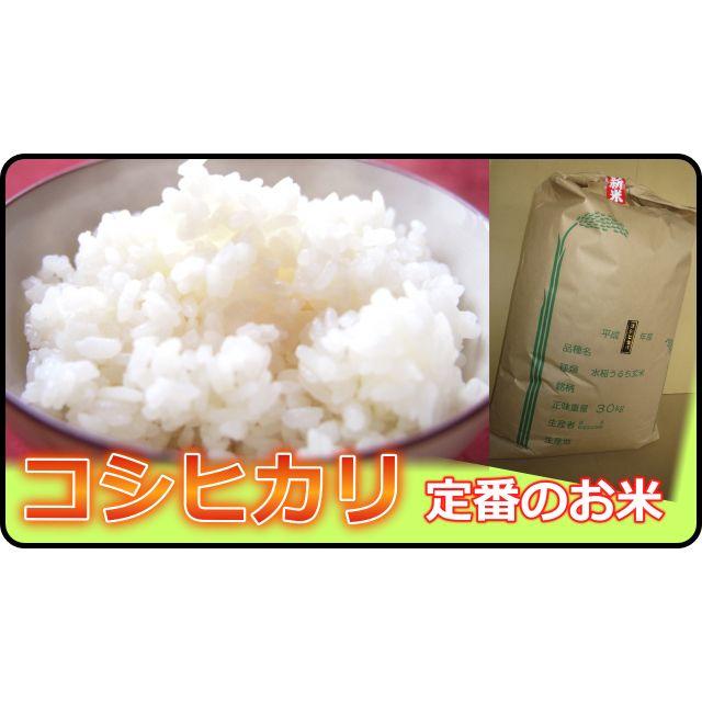 ☆新米29年コシヒカリ定番のお米！白米27ｋｇの出品。白米への精米無料/玄米可☆