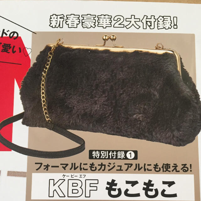 KBF(ケービーエフ)のspring  付録 KBF ファーバッグ レディースのバッグ(ショルダーバッグ)の商品写真