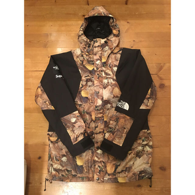 Supreme The North Face Mountain Jacket