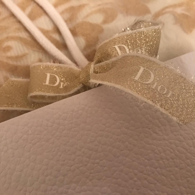 Dior(ディオール)のDior ショッパー 未使用 レディースのバッグ(ショップ袋)の商品写真