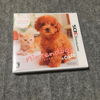 ニンテンドウ(任天堂)の3DSソフト nintendogs+cats トイ・プードル&Newフレンズ(家庭用ゲームソフト)