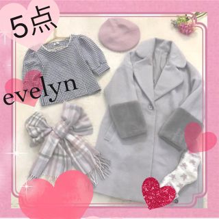 エブリン(evelyn)の💖5点💖送料0円💖(セット/コーデ)