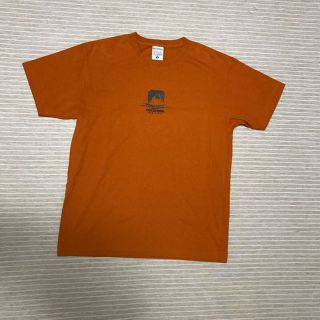 コロンビア(Columbia)の値下！新品！コロンビア メンズTシャツ(その他)