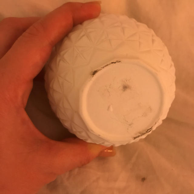 ZARA HOME(ザラホーム)のザラホーム パイナップル インテリア 小物入れ ハンドメイドのインテリア/家具(インテリア雑貨)の商品写真