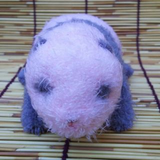 上野限定 ほんとの大きさ パンダの仔 シャンシャン 284g ぬいぐるみ(ぬいぐるみ)