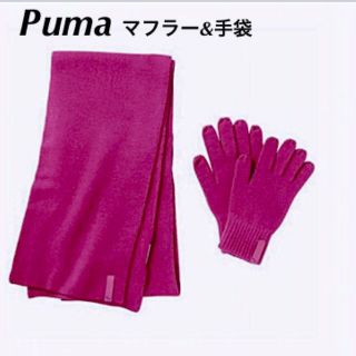 プーマ(PUMA)の●新品● PUMA.プーマ、マフラー&手袋セット：男女兼用、定価￥3800-(マフラー/ショール)