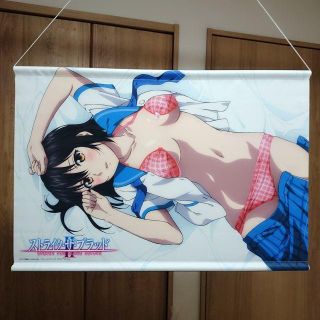 カドカワショテン(角川書店)の姫柊雪菜 Wスエード タペストリー ストライク・ザ・ブラッド 送料込み(ポスター)