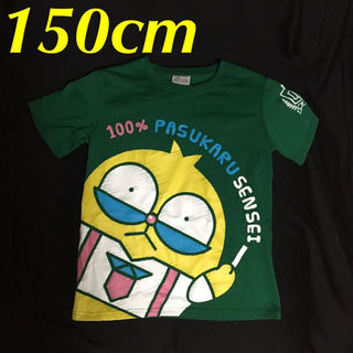 150cm☆ 100%パスカル先生 テスト付きTシャツ(グリーン)(その他)
