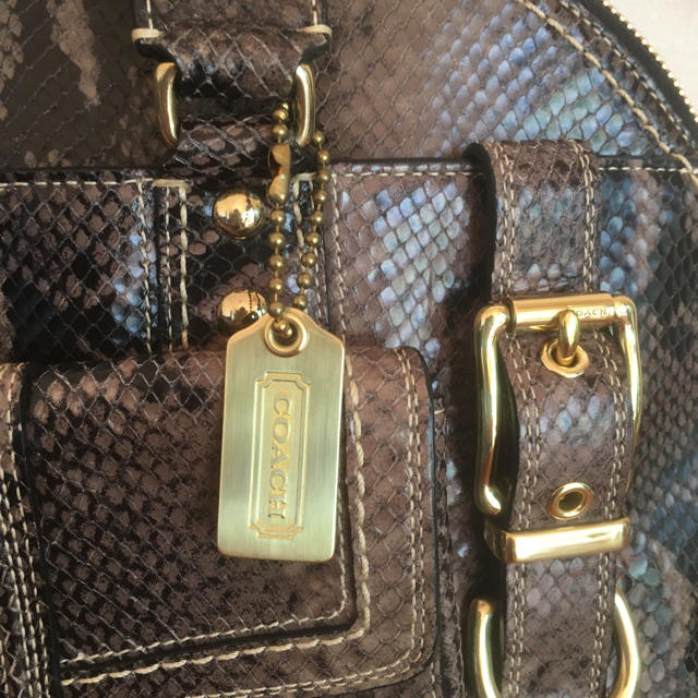 COACH 超美品 パイソンハンドバック A4OK