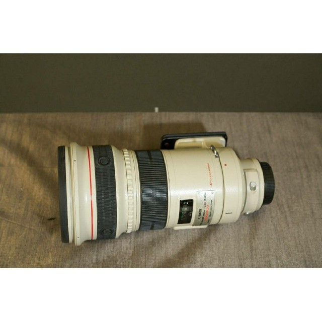 Canon EF300mm F2.8L IS USM スマホ/家電/カメラのカメラ(レンズ(ズーム))の商品写真