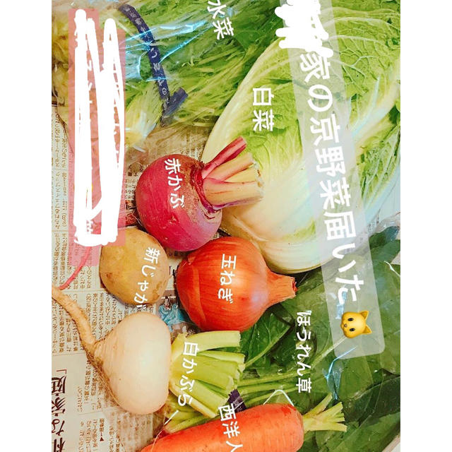 京野菜 詰め合わせ セット 60サイズ 無農薬  お試しセット 食品/飲料/酒の食品(野菜)の商品写真