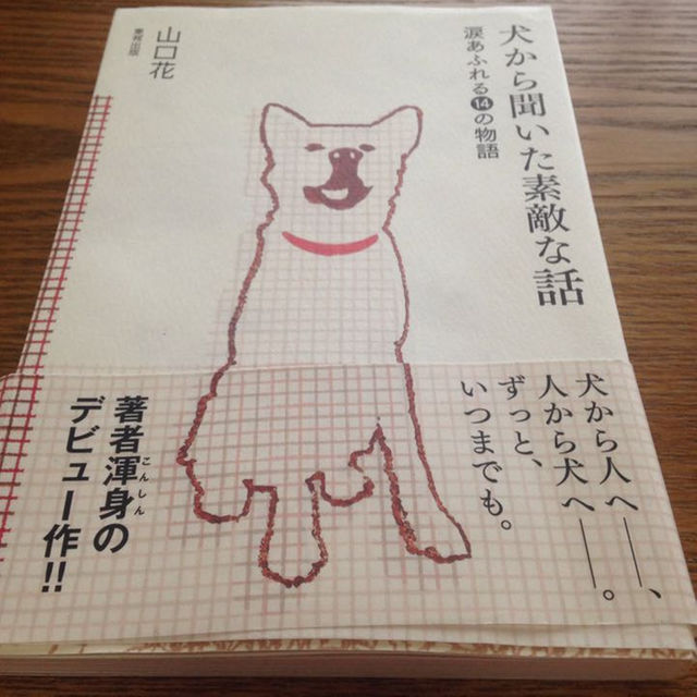 美品 犬から聞いた素敵な話 本 エンタメ/ホビーの本(文学/小説)の商品写真