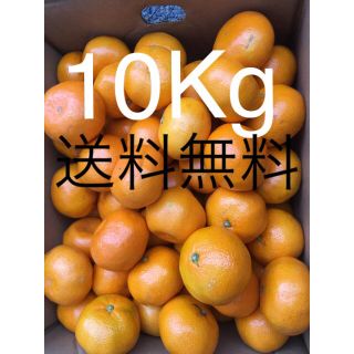 和歌山県 傷あり訳ありみかん10Kg(フルーツ)