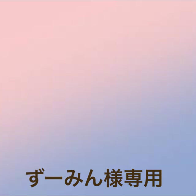プラチナ】 ずーみん様 専用の通販 by OZgaming|ラクマ メモリ