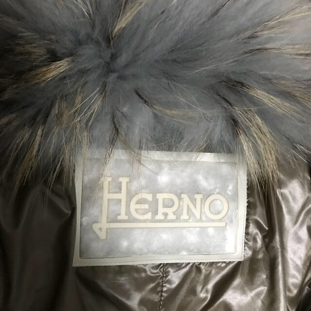 HERNO(ヘルノ)のHERNOのダウンコート🌟数年前フランスで購入しました😊値下げしました❣️ レディースのジャケット/アウター(ダウンコート)の商品写真