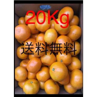 和歌山県 傷あり訳あり20Kg(フルーツ)