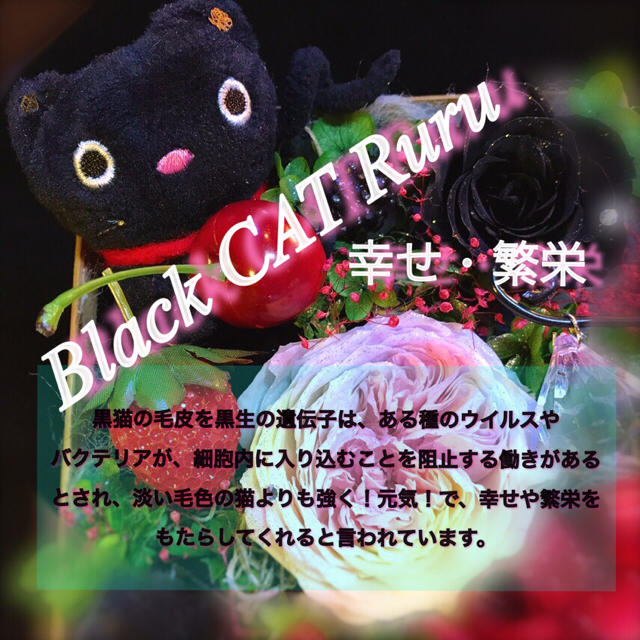 Babydoll レインボーローズ 黒ねこルルちゃんとマリアローズギフトの通販 By 北海道レインボーローズ専門店 ベビードールならラクマ Babydoll レインボーローズ 黒ねこルルちゃんとマリアローズギフトの通販 By 北海道レインボーローズ専門店 ベビードールならラクマ