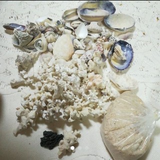 グアム島の貝殻　砂　珊瑚のセット(各種パーツ)