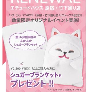 エチュードハウス(ETUDE HOUSE)のエチュードハウス♥ブランケット(毛布)