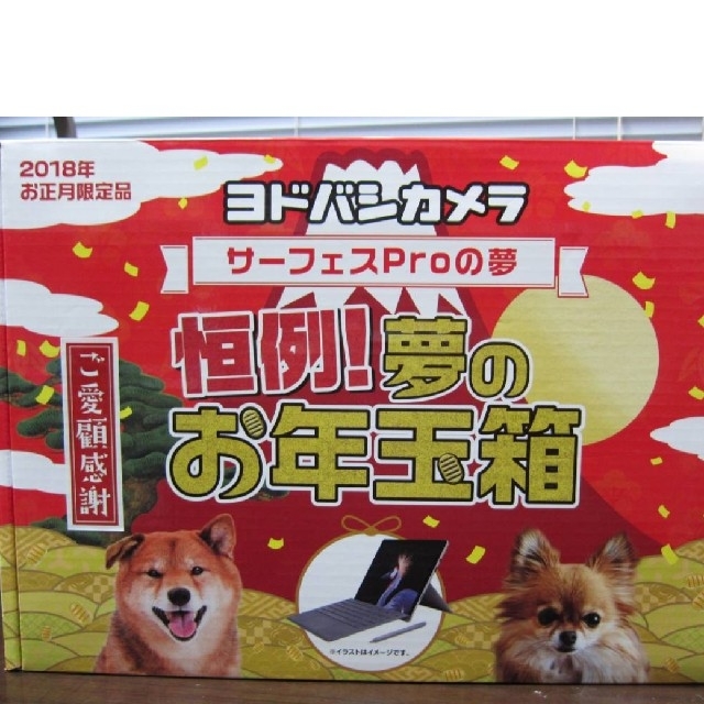 ふじみ野立てこもり 【あかり様専用】ヨドバシカメラ　サーフェスプロの夢