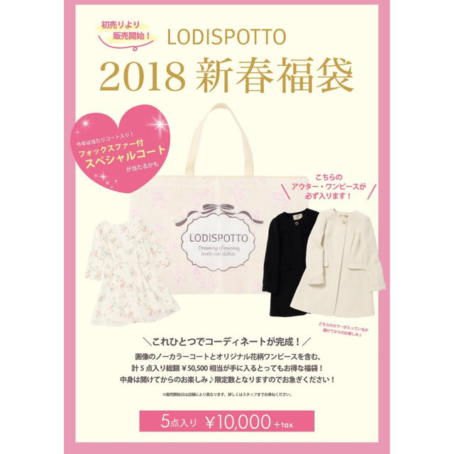 LODISPOTTO(ロディスポット)のロディスポット『LODISPOTTO』2018年福袋 レディースのレディース その他(セット/コーデ)の商品写真