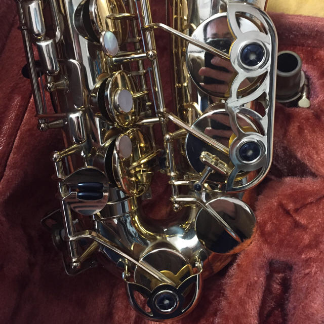 【みぃ様専用】ヤナギサワ アルトサックス 楽器の管楽器(サックス)の商品写真