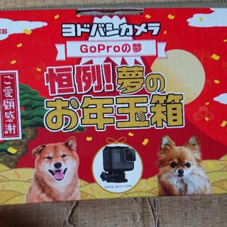 ヨドバシカメラ 2018大当り福袋  GoProの夢  総額59,510円相当(ビデオカメラ)