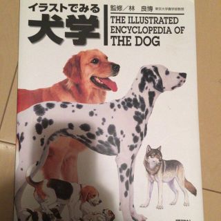 イラストでみる犬学(その他)