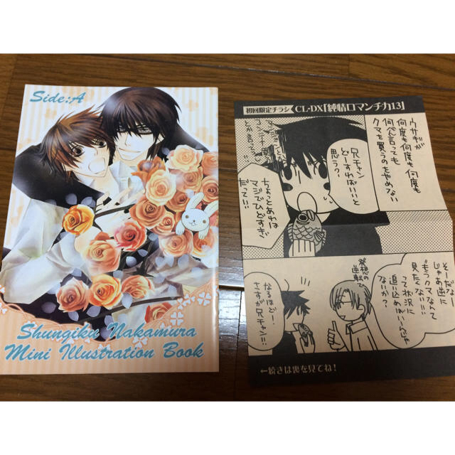純情ロマンチカ1〜19巻セット＆小冊子 - ボーイズラブ(BL)