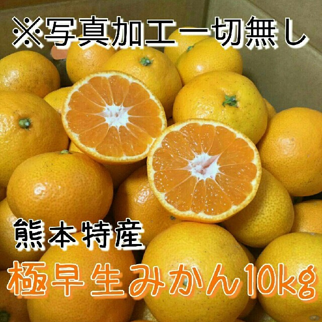 《今年もリピーター様続出！》熊本特産極早生みかん約10kg 送料無料1 食品/飲料/酒の食品(フルーツ)の商品写真