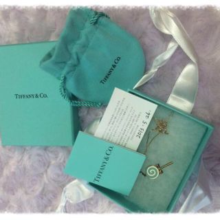 ティファニー(Tiffany & Co.)のティファニー ネックレス 新品♡(ネックレス)