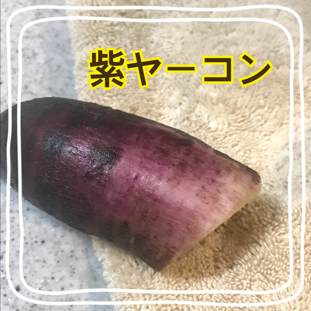 まさ様専用     紫ヤーコン2キロ 食品/飲料/酒の食品(野菜)の商品写真