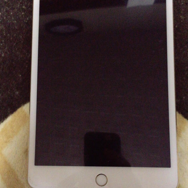 iPad mini4