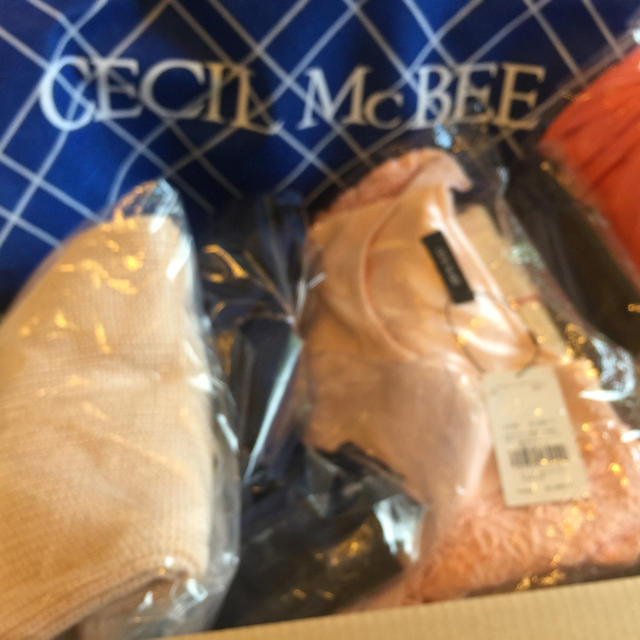 CECIL McBEE(セシルマクビー)の【新品・未使用】セシルマクビー 福袋2018 レディースのレディース その他(セット/コーデ)の商品写真
