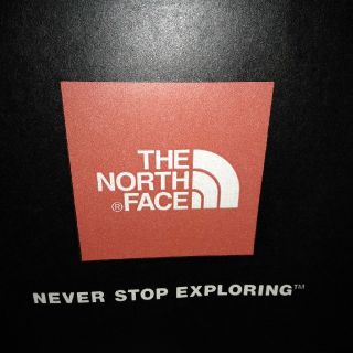 ザノースフェイス(THE NORTH FACE)の専用ページ　ダウン　ダウンジャケット　Ｍ(ダウンジャケット)