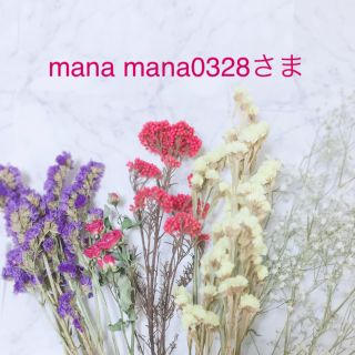 フジフイルム(富士フイルム)のmana mana0328さま 専用(コンパクトデジタルカメラ)